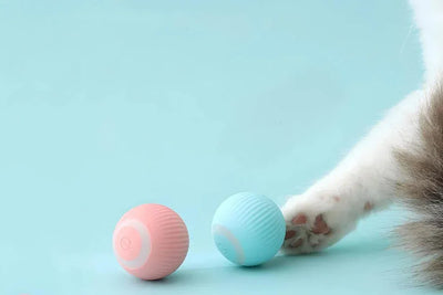 Keep Your Cat Entertained with This Innovative Toy